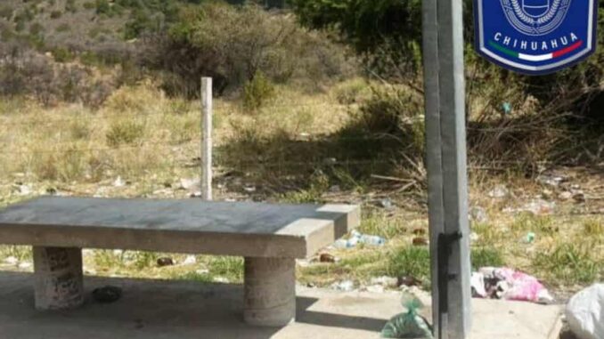 Asegura AEI arma de fuego y droga en carretera a Balleza