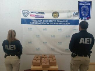 Asegura AEI cinco kilogramos de mariguana en Parral