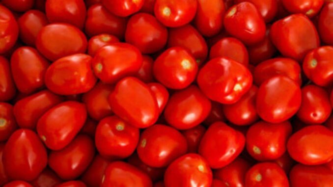 Estiman 47 mil empleos en riesgo en EE.UU. por arancel al jitomate mexicano