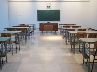 Así puedes consultar e imprimir los certificados y boletas de calificaciones de primaria y secundaria en la CDMX