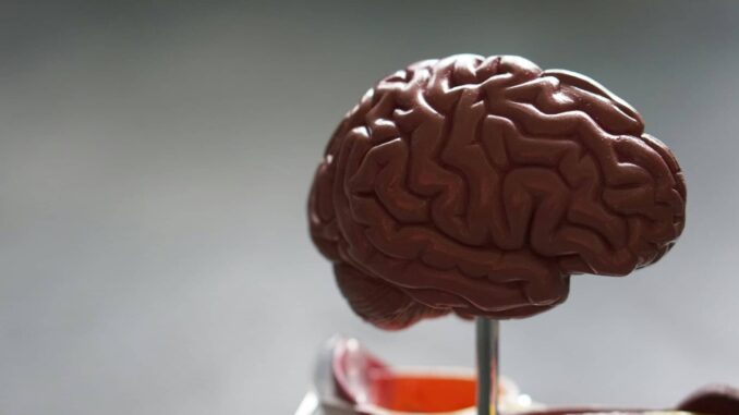 Infartos cerebrales impactan a mexicanos cada vez más jóvenes, alerta especialista