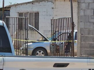 Detienen a hombre por intento de agresión con un arma en granja de la carretera a Aldama