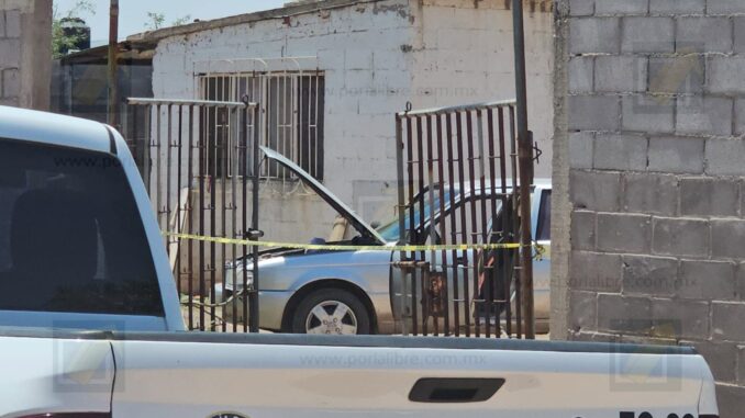 Detienen a hombre por intento de agresión con un arma en granja de la carretera a Aldama