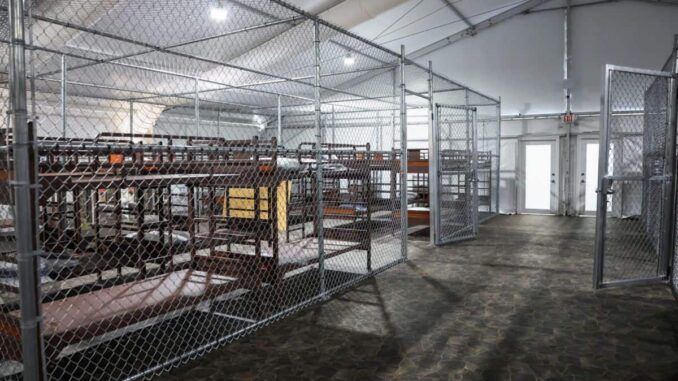 Migrantes describen un infierno en el centro de detención ‘Alligator Alcatraz’