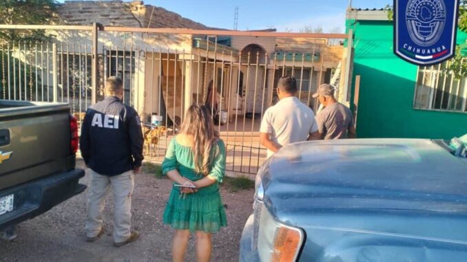 Interviene AEI en apoyo a Ecología para atender denuncia de maltrato animal en Nuevo Casas Grandes
