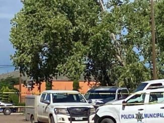 Dejan dos cabezas dentro de hieleras en Anáhuac