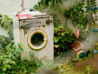 ¿Tienes electrodomésticos viejos? La CFE te ayuda a cambiarlos