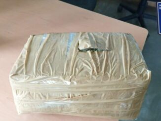 Asegura AEI dos armas de fuego y droga en Parral y Balleza