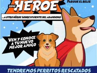 Invita Municipio a programa “Adopta como Héroe” en Parque El Reliz