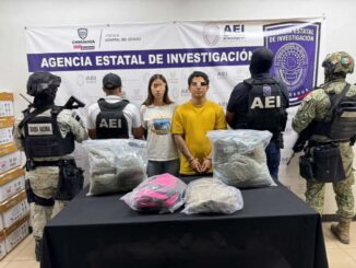 Detiene COE a pareja con 5 kilos de marihuana en la colonia Versalles