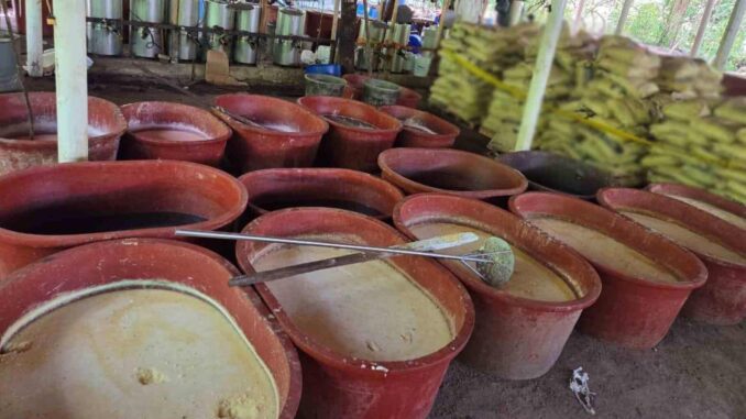 Inhabilitan laboratorio de metanfetamina en Chiapas y decomisan droga en Guerrero