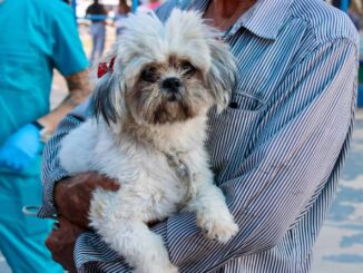 HOY, en el parque El Platanito servicios gratis para tus mascotas