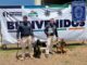 Ganan binomios caninos de la Zona Centro Competencia Estatal de Perro de Servicio Policial