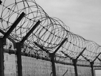 EE.UU. transfiere a México a 14 reos sentenciados por narcotráfico; esta es la razón