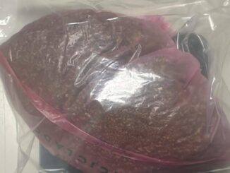 Detiene AEI a individuo con diversa droga en Urbivilla del Cedro