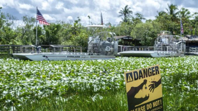 Everglades, de oasis de naturaleza a desafío del centro migratorio ‘Alligator Alcatraz’