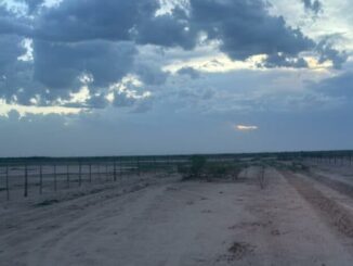 Despliegan operativo de búsqueda para localizar a hermanitos de la etnia tarahumara en Ascensión