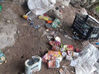 Destruye operativo conjunto campamento en Moris