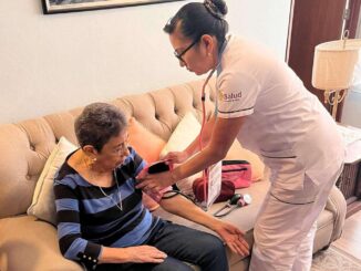 ¿cuántas consultas se han realizado?