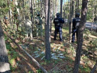 Asegura célula BOI 33 artefactos explosivos en Guadalupe y Calvo