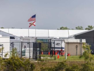 Llegan a México los hermanos que fueron detenidos en el ‘Alcatraz de los Caimanes’