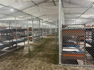 SRE visita a mexicanos detenidos en ‘Alligator Alcatraz’; les ofrece repatriarlos cuanto antes