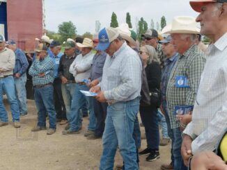 Capacita Estado a productores para la detección del Gusano Barrenador del Ganado