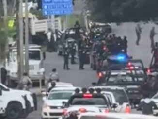 SSPC confirma 8 detenidos en Edomex y Quintana Roo