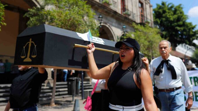 Organización presenta amicus curiae para anular la primera elección judicial