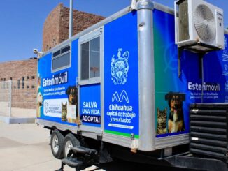 Conoce las fechas para esterilizar a tu mascota en el Esterimóvil de Municipio