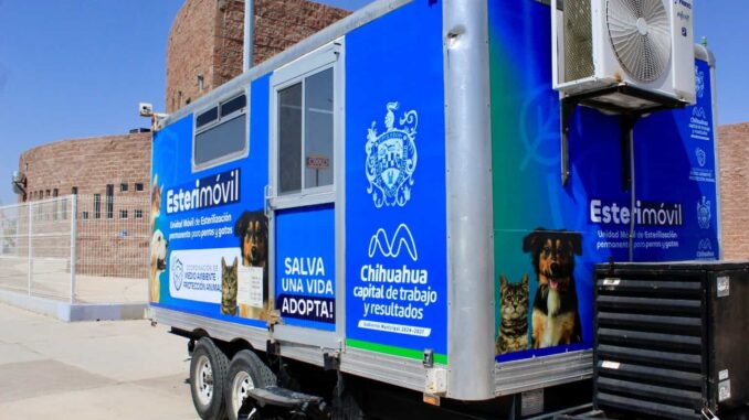 Conoce las fechas para esterilizar a tu mascota en el Esterimóvil de Municipio