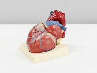 Primer trasplante de corazón en Latinoamérica cumple 37 años; se hizo en México de forma ‘ilegal’