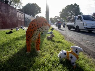 Artesanos mexicanos de Puebla conquistan con su arte y cultura las calles de Managua