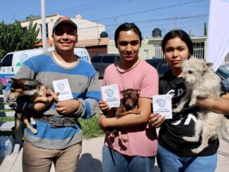 Benefició Municipio a más de 100 perros y gatos con servicios gratuitos en colonia Los Pinos
