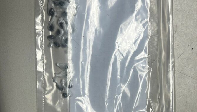 Arresta COE a mujer en posesión de 30 dosis de heroína en Cd. Juárez