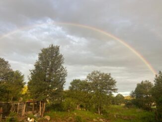 Pronostican lluvias en el estado para este viernes