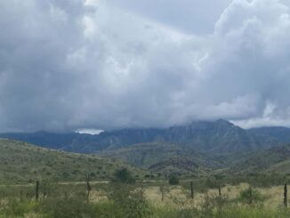 Se mantiene alerta en el estado ante pronóstico de lluvias para este fin de semana 