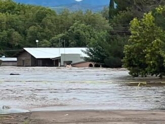 Casas Grandes: Intensas lluvias dejan un desaparecido, localidades incomunicadas y al menos 100 viviendas bajo el agua