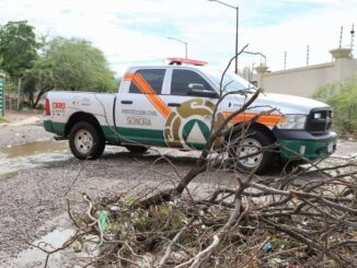 Sonora activa las alertas por el huracán ‘Lorena’