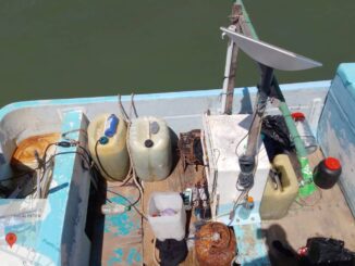 Aseguran embarcación con artes de pesca prohibidos en Yucalpetén, Yucatán
