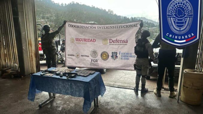 Encuentra Célula BOI punto de halconeo, fusil y balas calibre 223mm en Guadalupe y Calvo