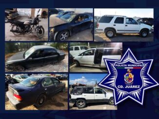Recuperan 8 vehículos robados en operativo de seguridad