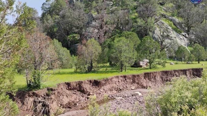 Localiza FGE Occidente restos óseos en arroyo de Carichí