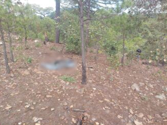 Localizan cuerpo descuartizado y calcinado en Moris