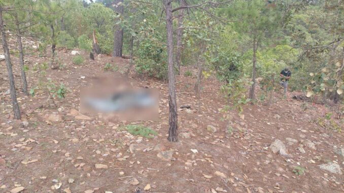 Localizan cuerpo descuartizado y calcinado en Moris