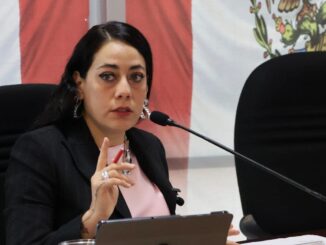 Lamentable que Congreso se niegue a legislar Violencia Vicaria: América Aguilar