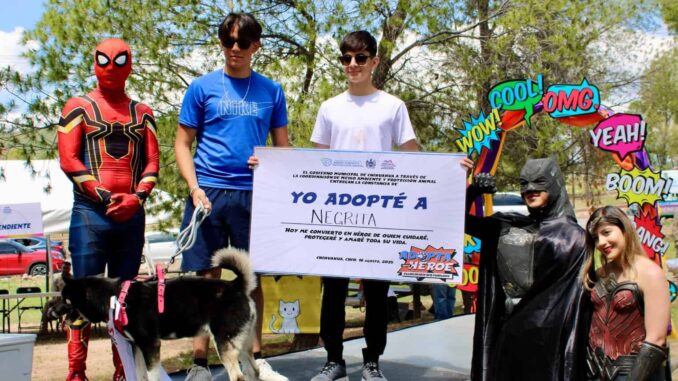 Encuentran hogar 17 perros en programa del Municipio “Adopta como Héroe”