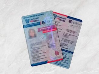 Ofrece Gobierno del Estado descuento hasta del 30% en licencias de conducir para estudiantes