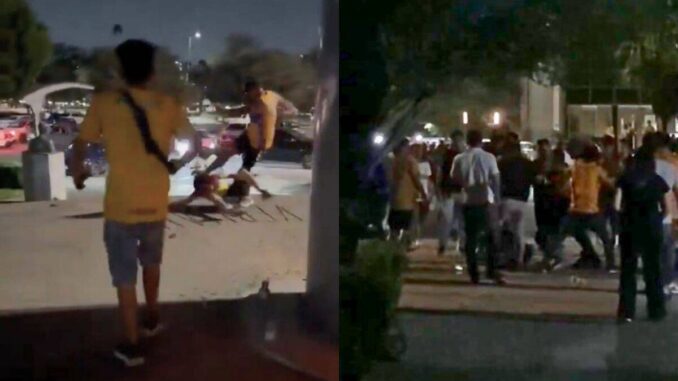 Riña y agresiones en partidos Chivas vs Juárez y Tigres vs América; hay 2 detenidos