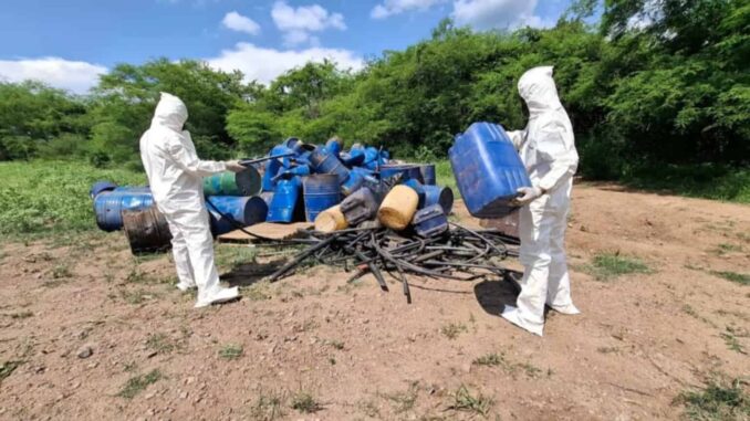 Inhabilitan siete laboratorios clandestinos en Sinaloa